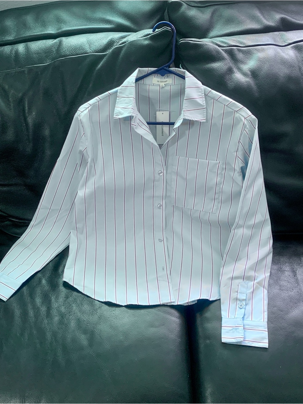 Women's Light Blue Striped Button-Down Shirt with Red Pinstripes